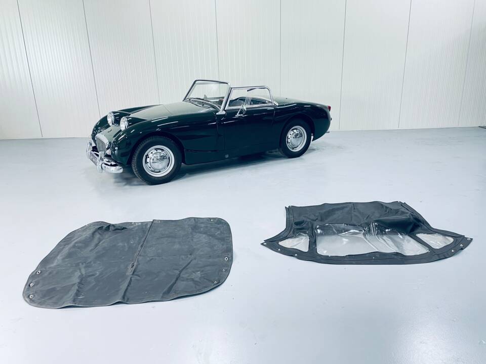 Bild 12/14 von Austin-Healey Sprite Mk I (1960)