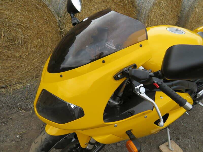 Image 6/40 of Triumph DUMMY (2006)