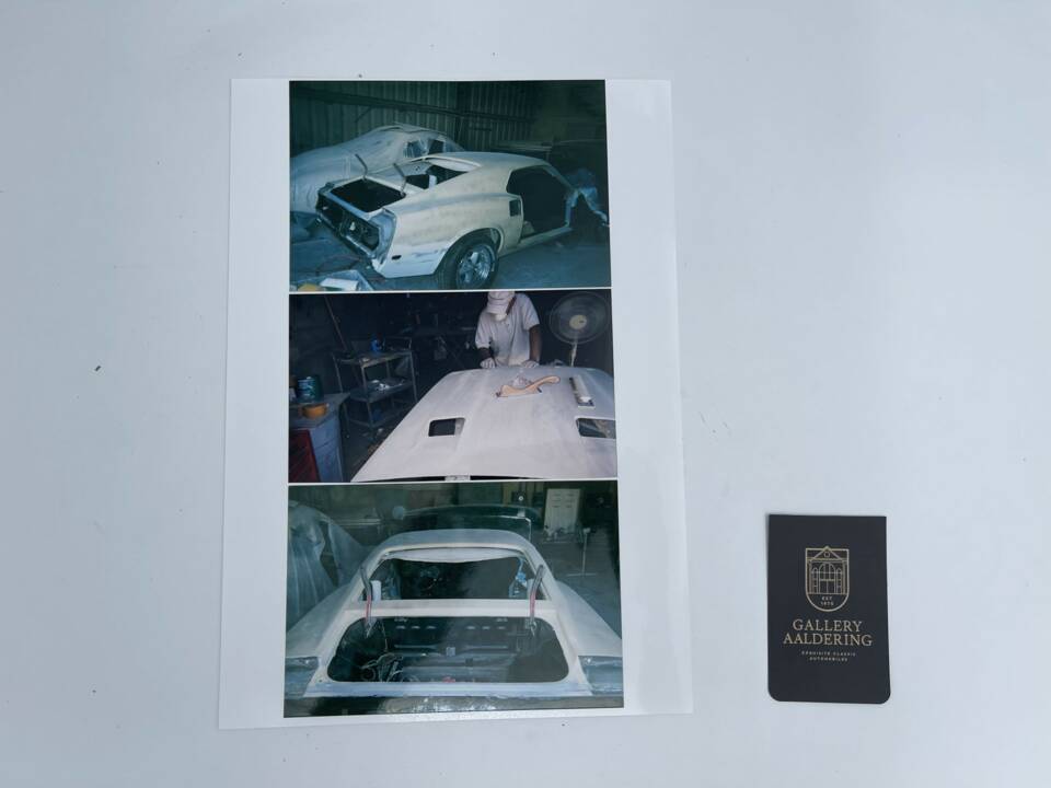 Image 9/50 of Ford Shelby GT 500 (1969)