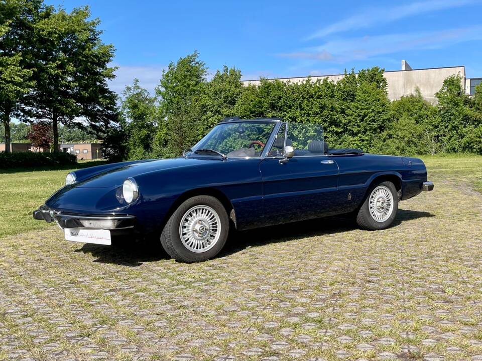Bild 12/22 von Alfa Romeo 2000 Spider Veloce (1979)