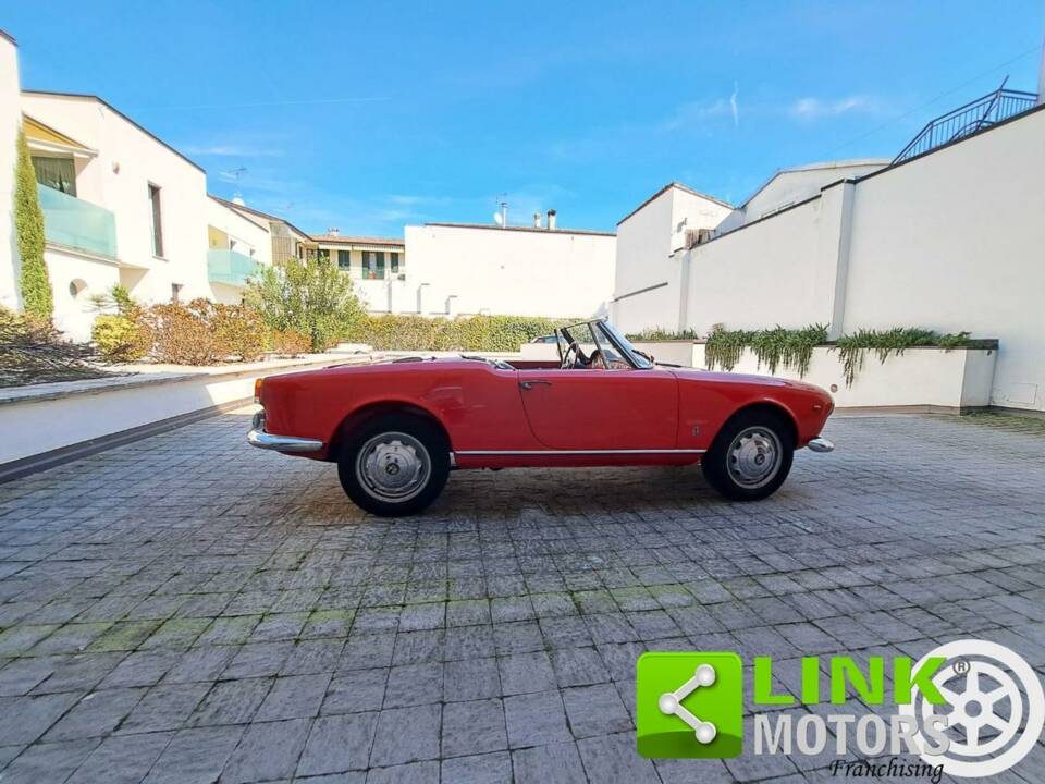 Immagine 8/10 di Alfa Romeo Giulietta Spider (1961)