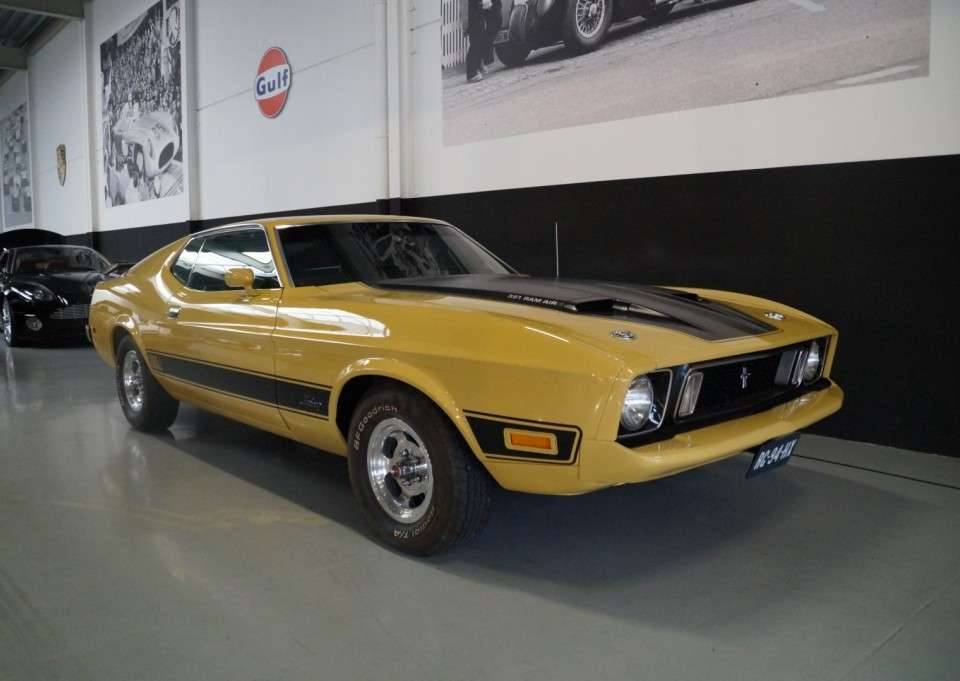 Image 2/50 of Ford Mustang Mach 1 (1973)