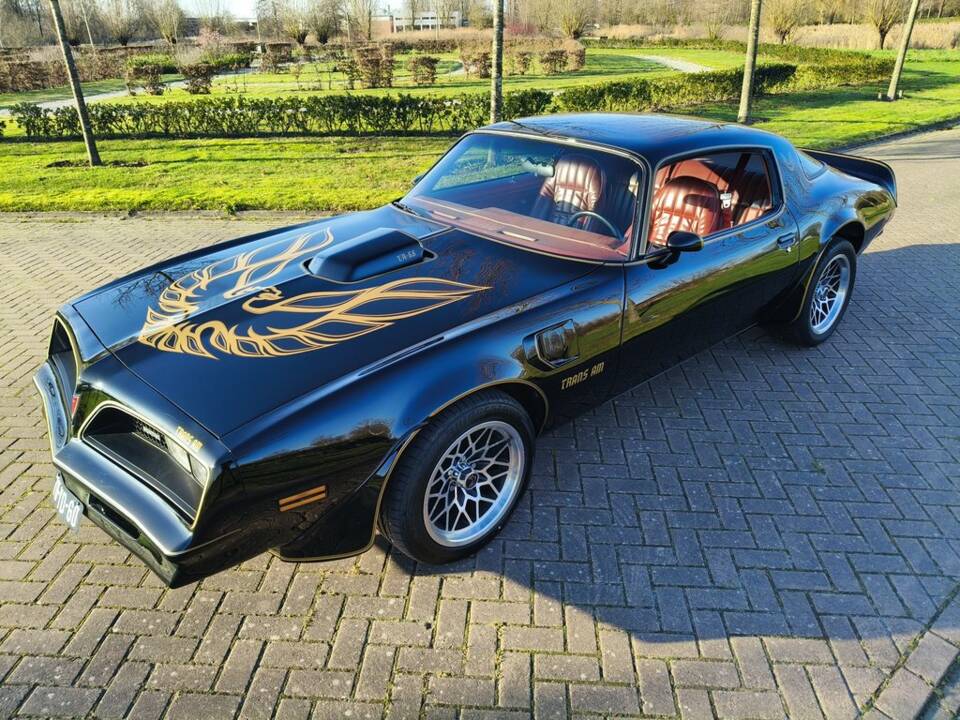 Bild 4/8 von Pontiac Firebird TransAm (1977)