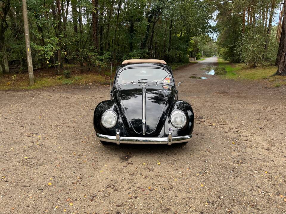 Image 11/26 of Volkswagen Beetle 1200 Standard &quot;Oval&quot; (1954)