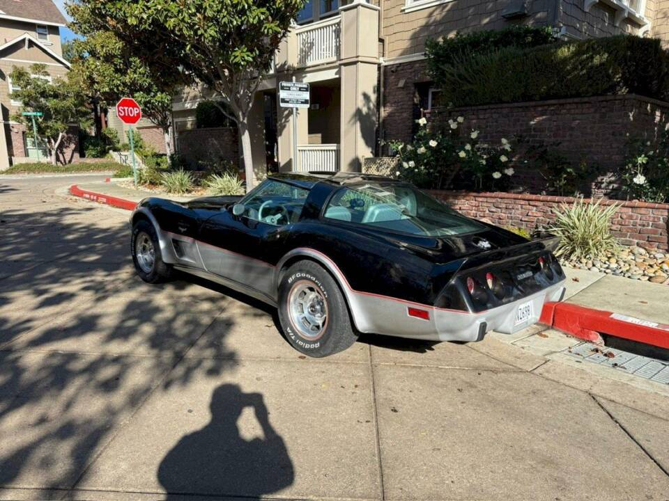 Bild 21/50 von Chevrolet Corvette 25th Anniversary (1978)