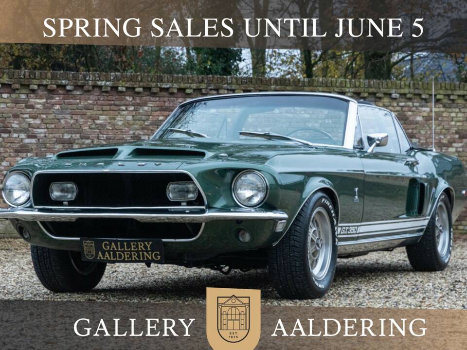 Immagine 1/50 di Ford Shelby GT 350 (1968)