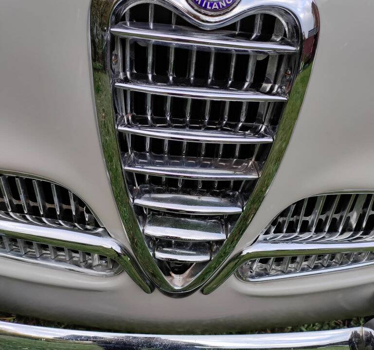 Bild 6/8 von Alfa Romeo 1900 Super Berlina (1958)