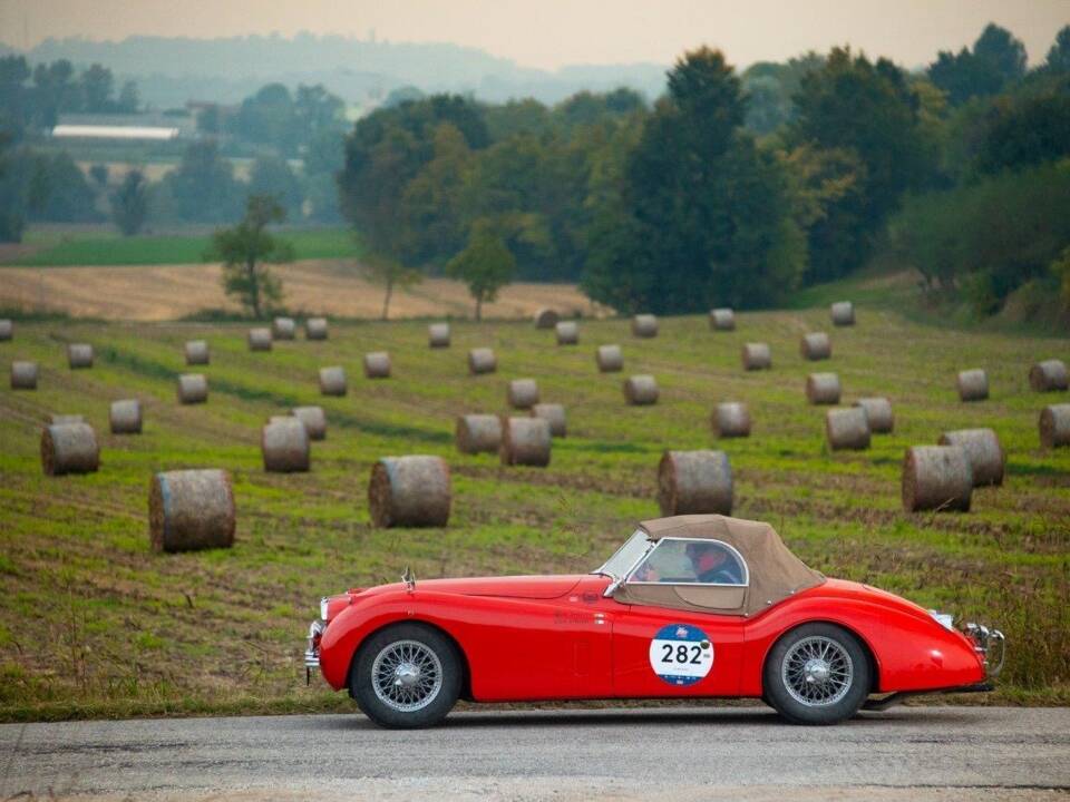 Bild 29/45 von Jaguar XK 120 SE OTS (1954)
