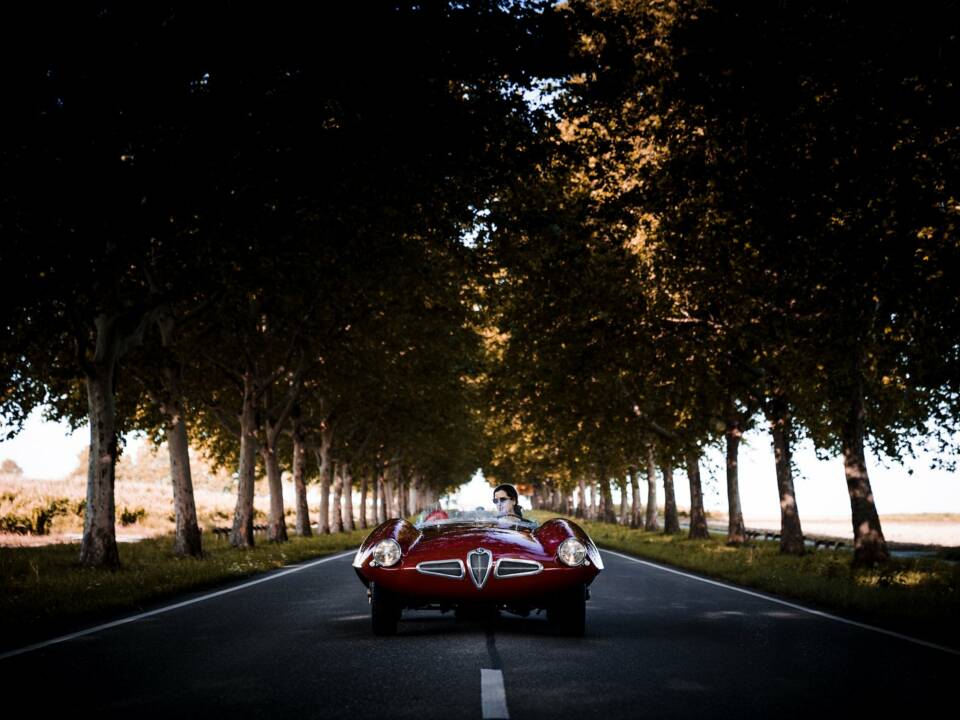 Bild 2/14 von Alfa Romeo Disco Volante (1954)