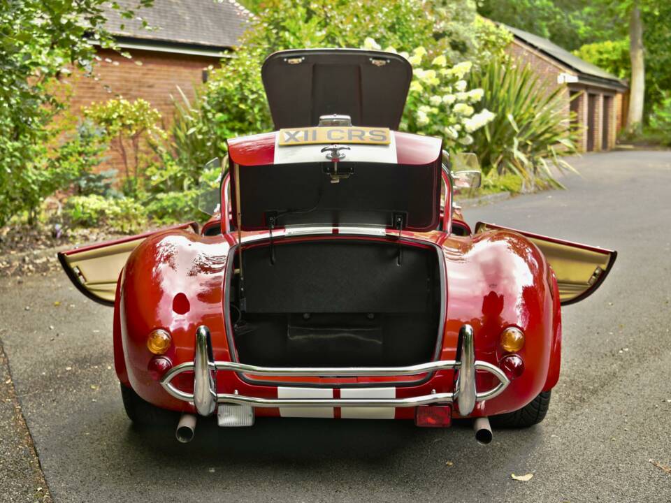 Image 17/50 de AC Cobra 289 (2000)