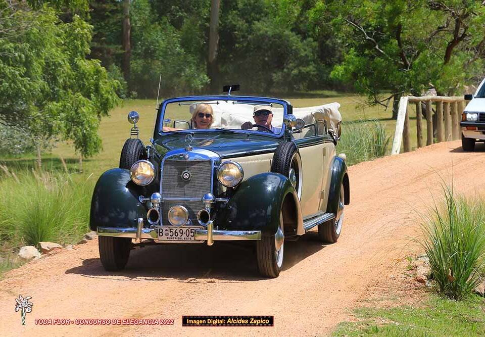 Bild 13/13 von Mercedes-Benz 230 Cabriolet B (1939)