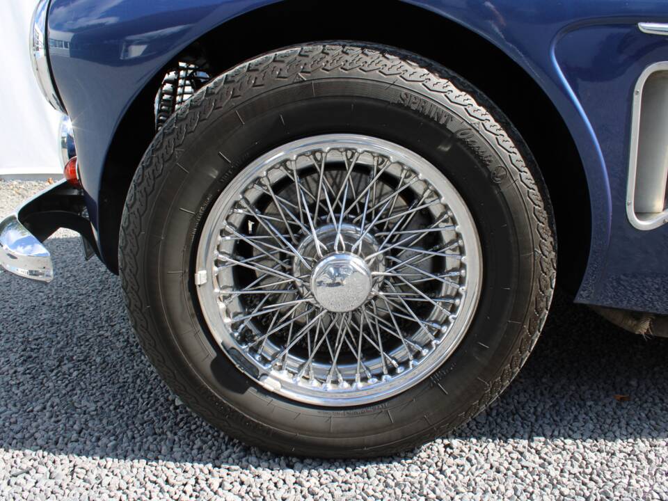 Image 18/50 of Austin-Healey 3000 Mk I (BN7) (1960)