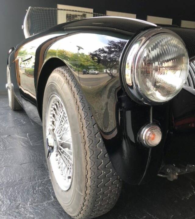 Bild 6/30 von Austin-Healey 100&#x2F;4 (BN1) (1954)