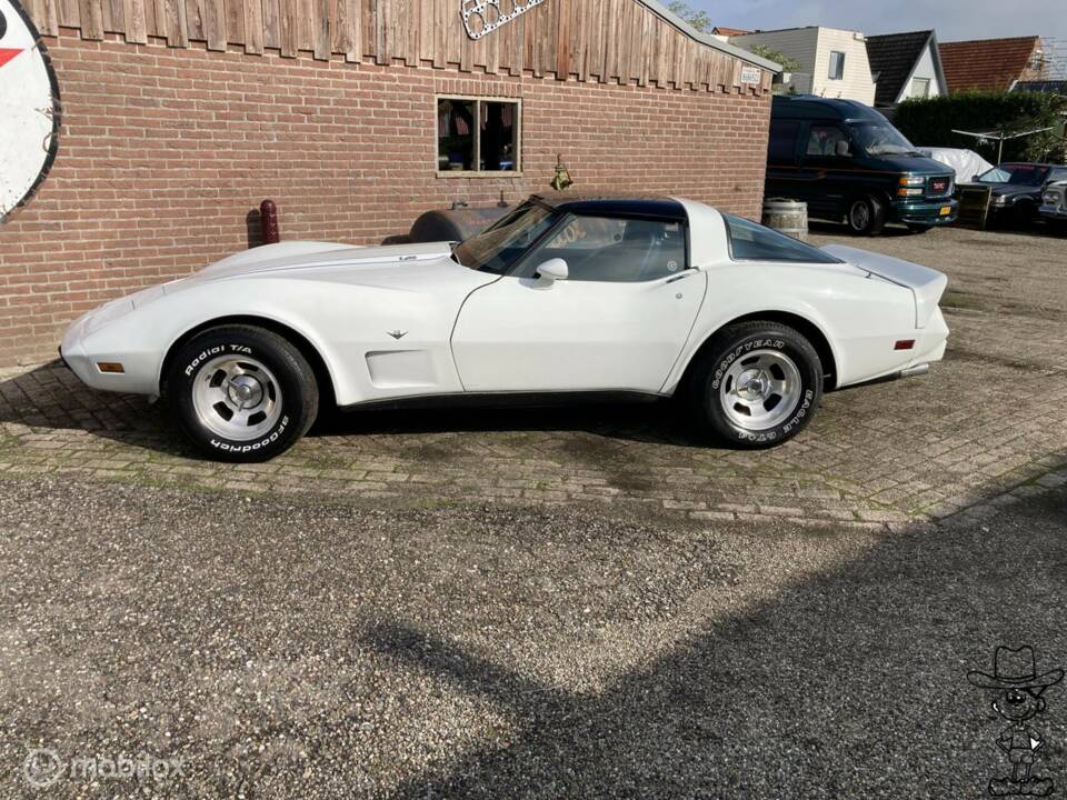 Afbeelding 17/50 van Chevrolet Corvette Sting Ray (1979)