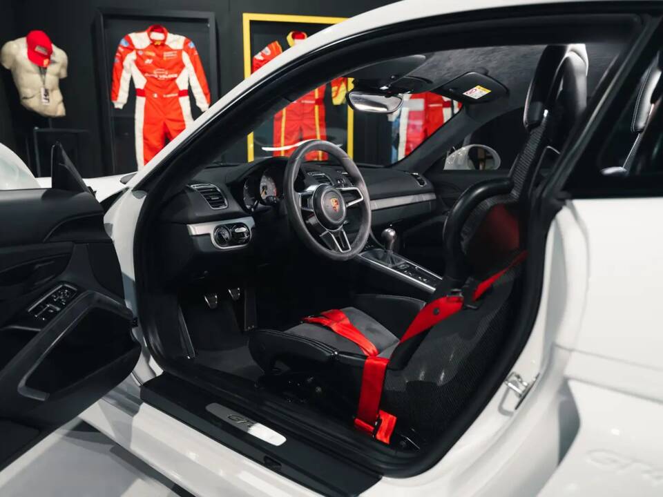 Afbeelding 16/36 van Porsche Cayman GT4 (2016)