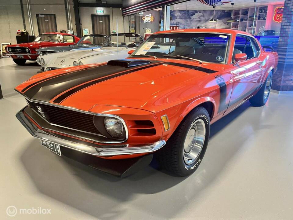 Image 18/34 of Ford Mustang Boss 302 (1970)