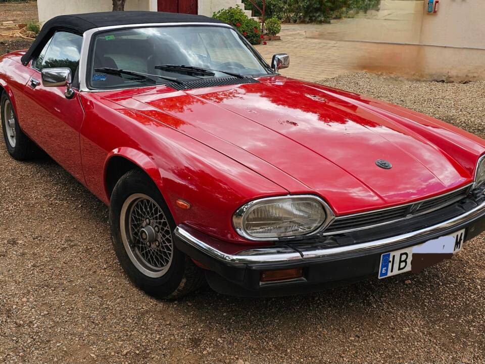 Bild 6/8 von Jaguar XJ-S Convertible (1989)