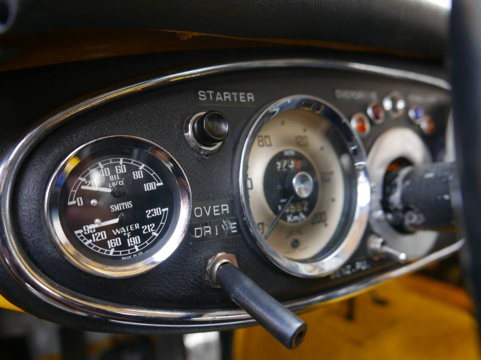 Immagine 18/52 di Austin-Healey 3000 Mk I (BN7) (1959)