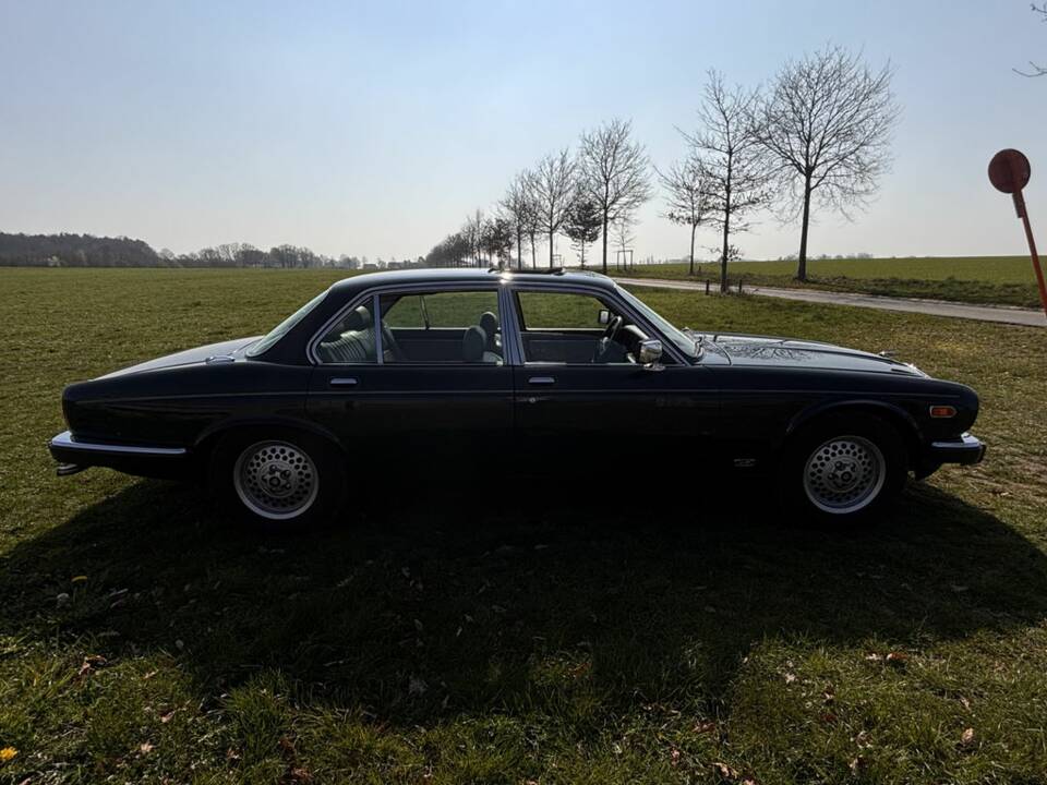 Bild 7/8 von Jaguar XJ 12 (1992)