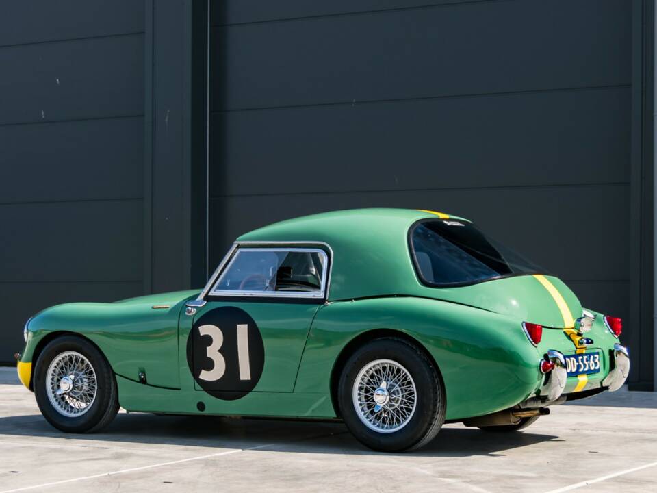 Image 22/50 of Austin-Healey Sprinzel Sebring Sprite (1958)