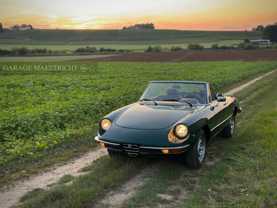 Imagen 15/60 de Alfa Romeo Spider 1300 (1976)