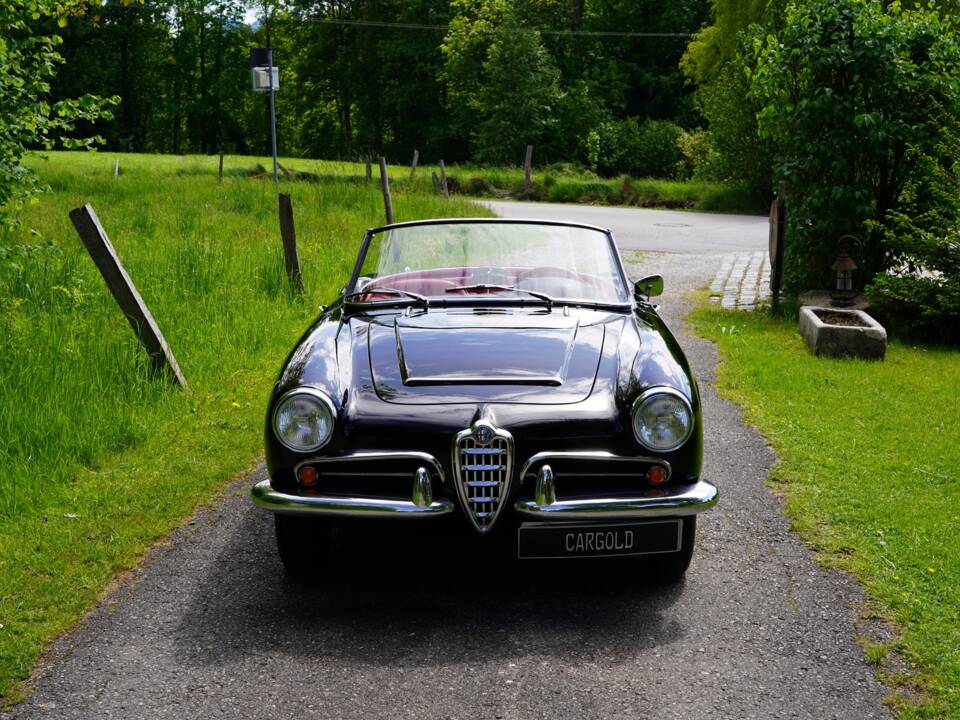 Image 3/10 of Alfa Romeo Giulia 1600 Spider (1962)