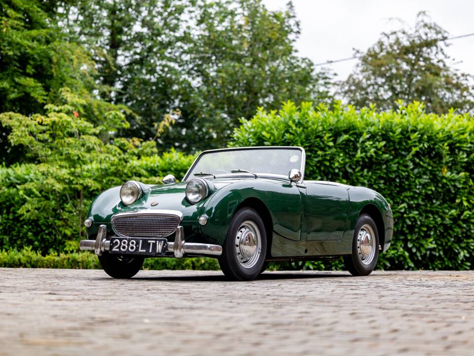 Bild 12/40 von Austin-Healey Sprite Mk I (1958)