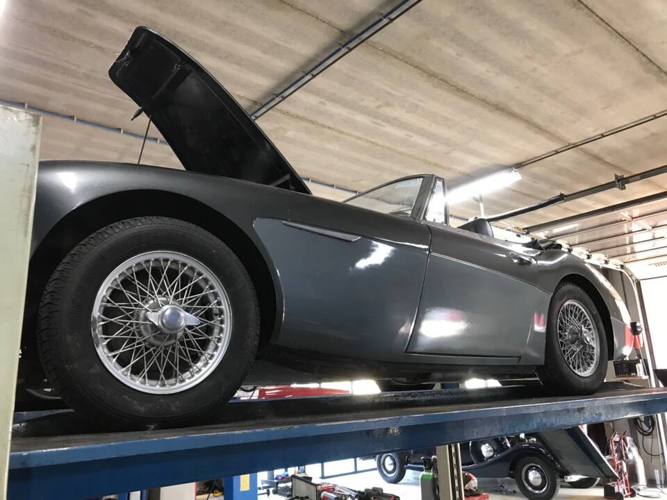 Immagine 2/40 di Austin-Healey 3000 Mk III (BJ8) (1966)