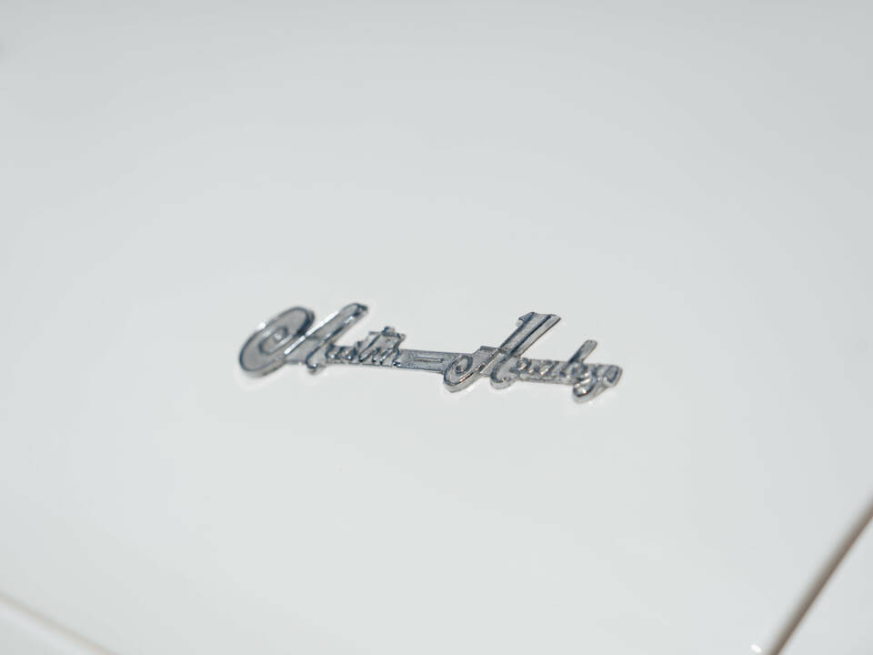 Image 34/50 of Austin-Healey 100 S (1955)