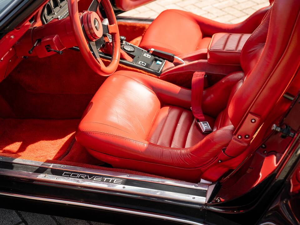 Immagine 19/42 di Chevrolet Corvette Sting Ray (1980)