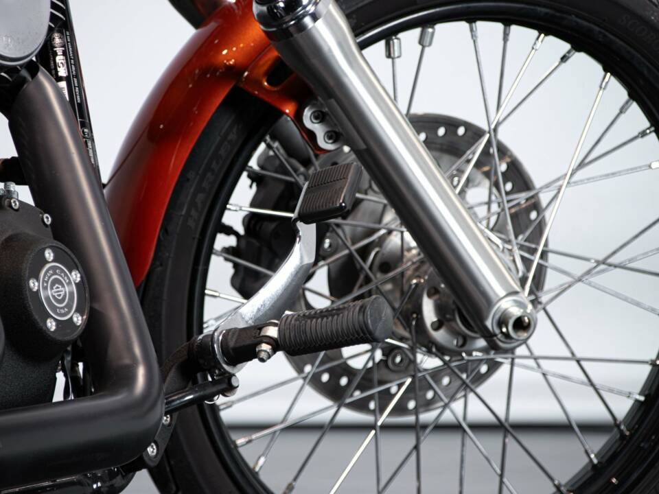 Bild 40/50 von Harley-Davidson DUMMY (2010)