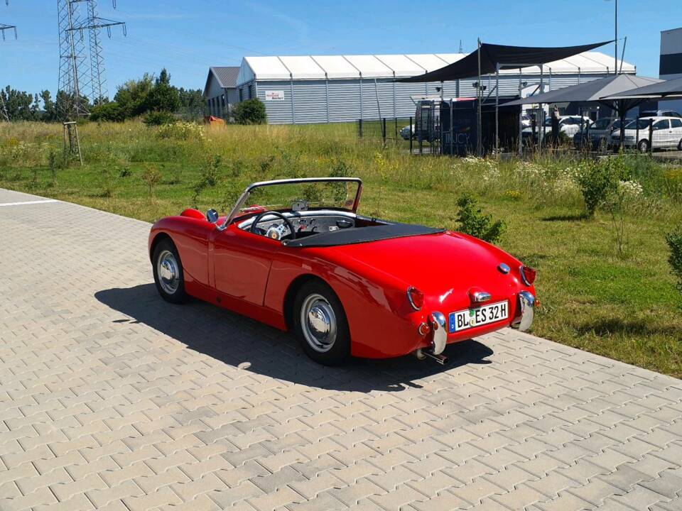 Image 19/53 of Austin-Healey Sprite Mk I (1960)