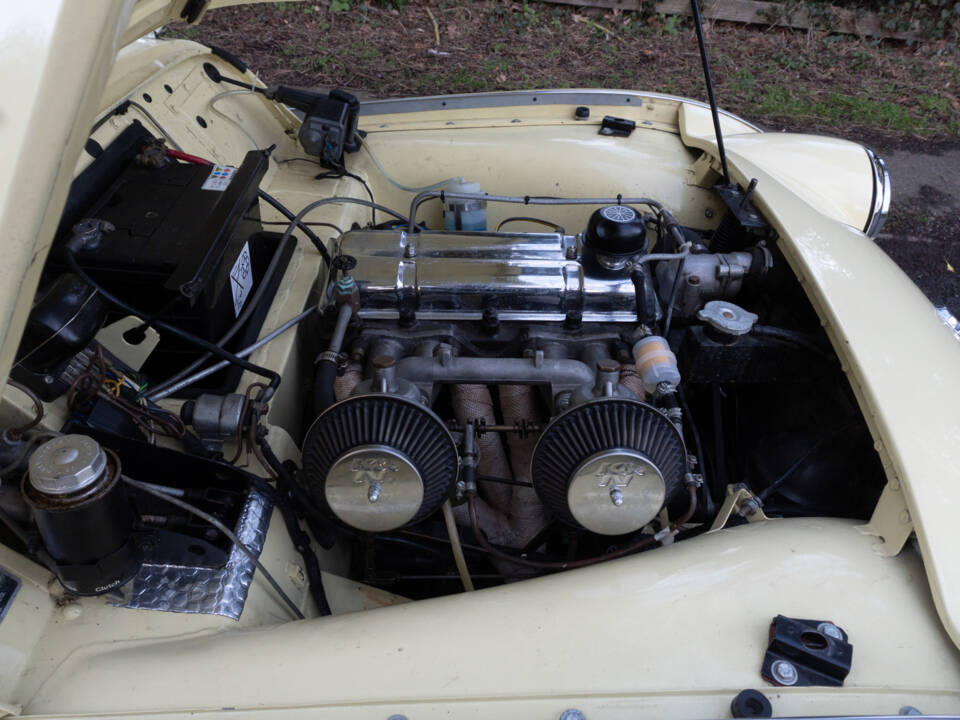 Image 15/15 of Triumph TR 3A (1959)