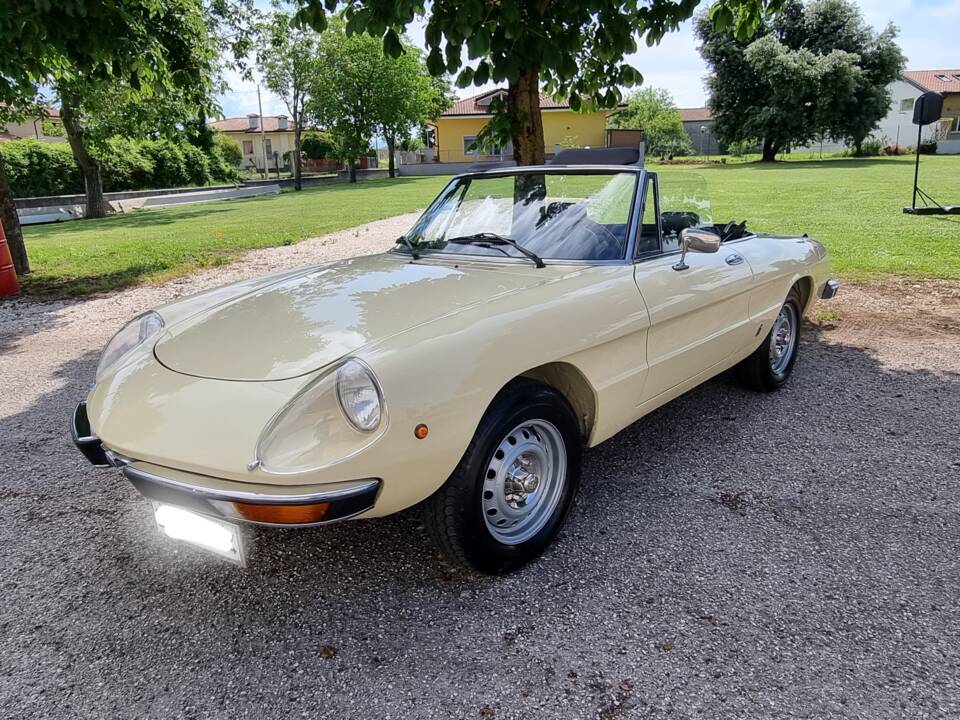 Bild 1/10 von Alfa Romeo 1600 Spider (1981)