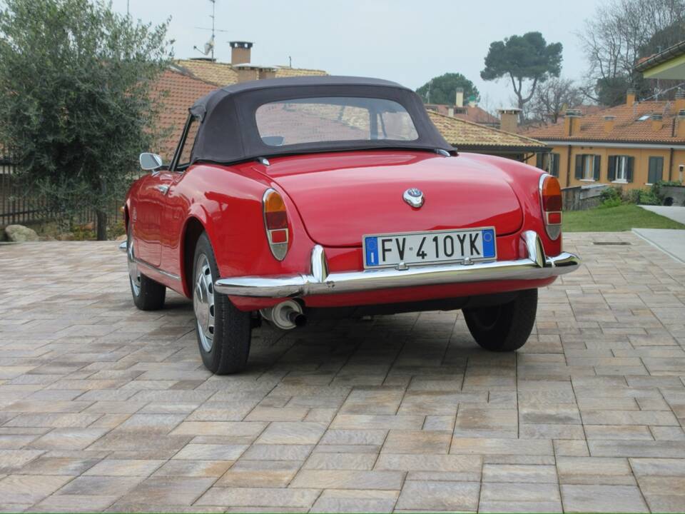 Bild 13/57 von Alfa Romeo Giulietta Spider (1961)