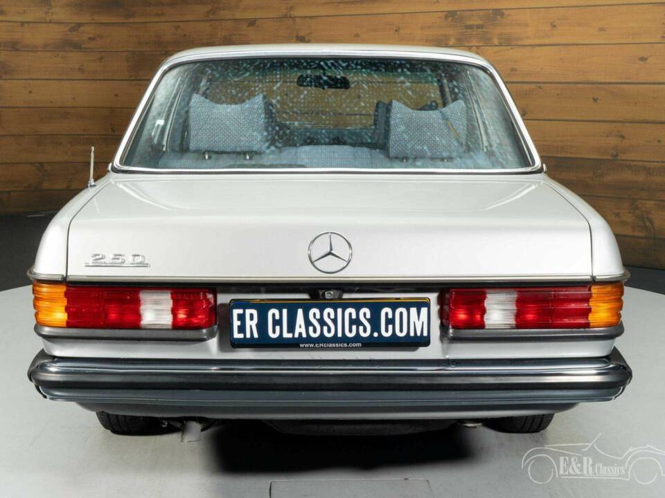 Imagen 14/19 de Mercedes-Benz 250 (1978)