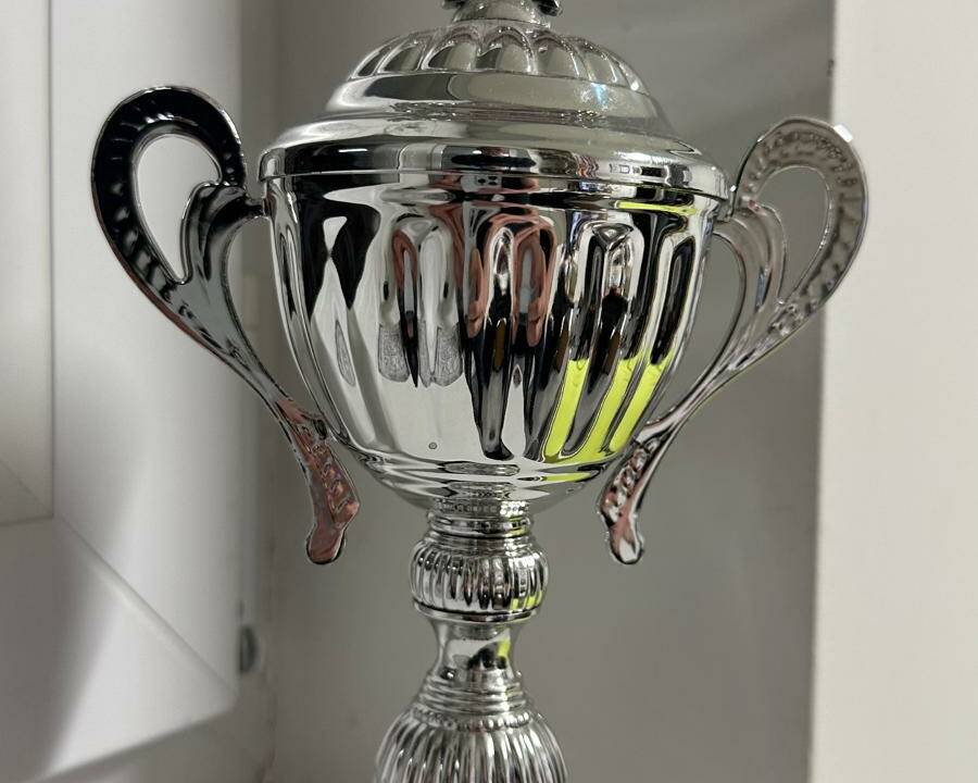 Image 28/36 of Ford Mustang 289 GTA (1967)