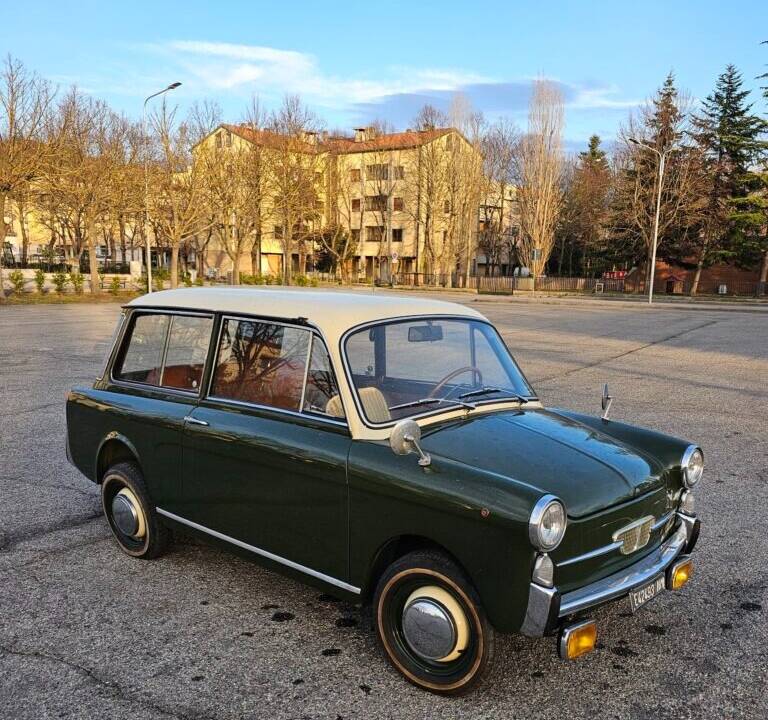 Image 5/67 of Autobianchi Bianchina Panoramica (1969)