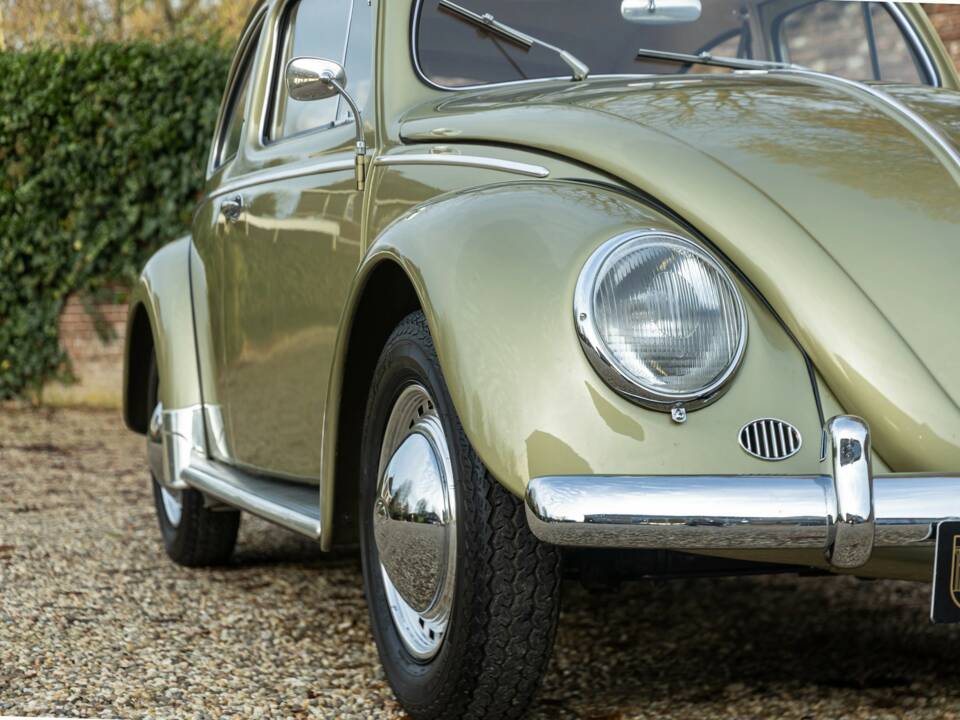 Bild 32/50 von Volkswagen Beetle 1200 Standard "Oval" (1956)