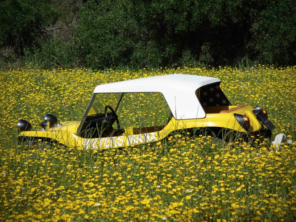 Bild 49/79 von Volkswagen Meyers Manx Buggy SR (1967)