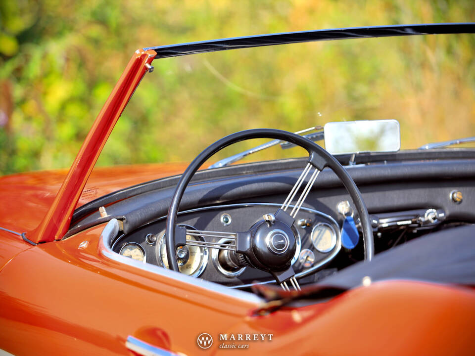 Immagine 26/40 di Austin-Healey 3000 Mk I (BN7) (1959)