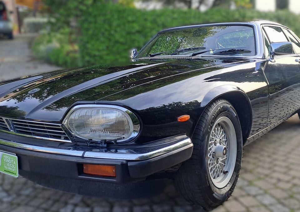Image 1/40 of Jaguar XJ-S 3.6 (1987)