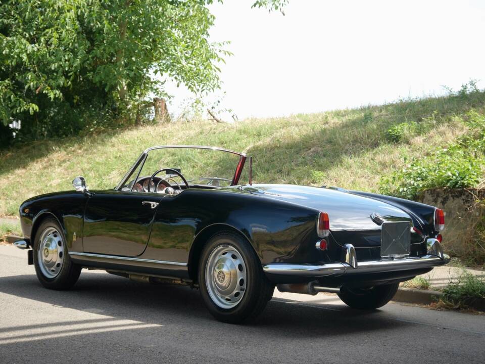 Image 14/25 of Alfa Romeo Giulietta Spider (1959)