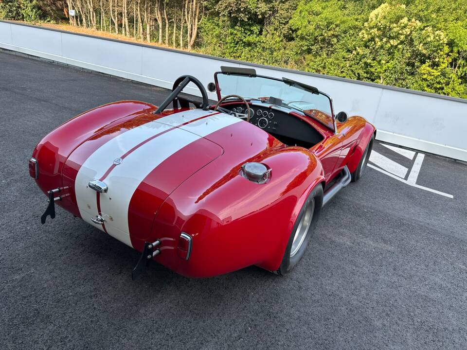 Immagine 11/20 di AC Cobra Lightweight (1994)