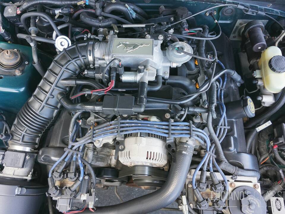 Afbeelding 38/38 van Ford Mustang GT (1998)