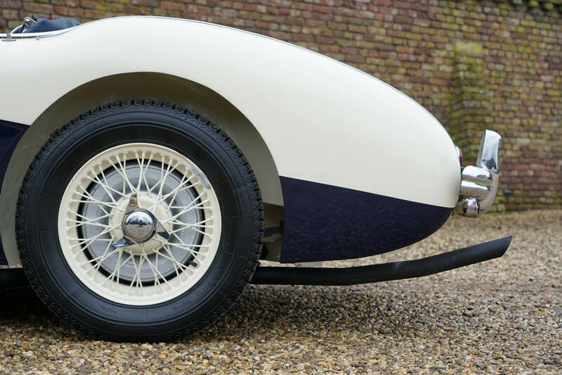 Image 31/50 of Austin-Healey 100&#x2F;4 (BN1) (1955)