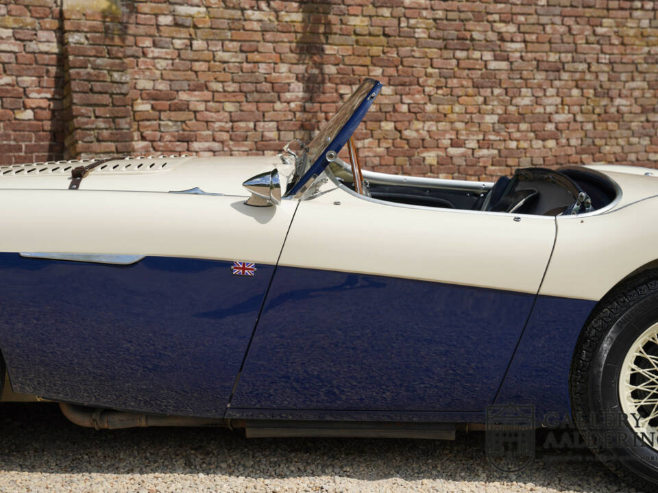 Immagine 46/50 di Austin-Healey 100&#x2F;4 (BN1) (1954)