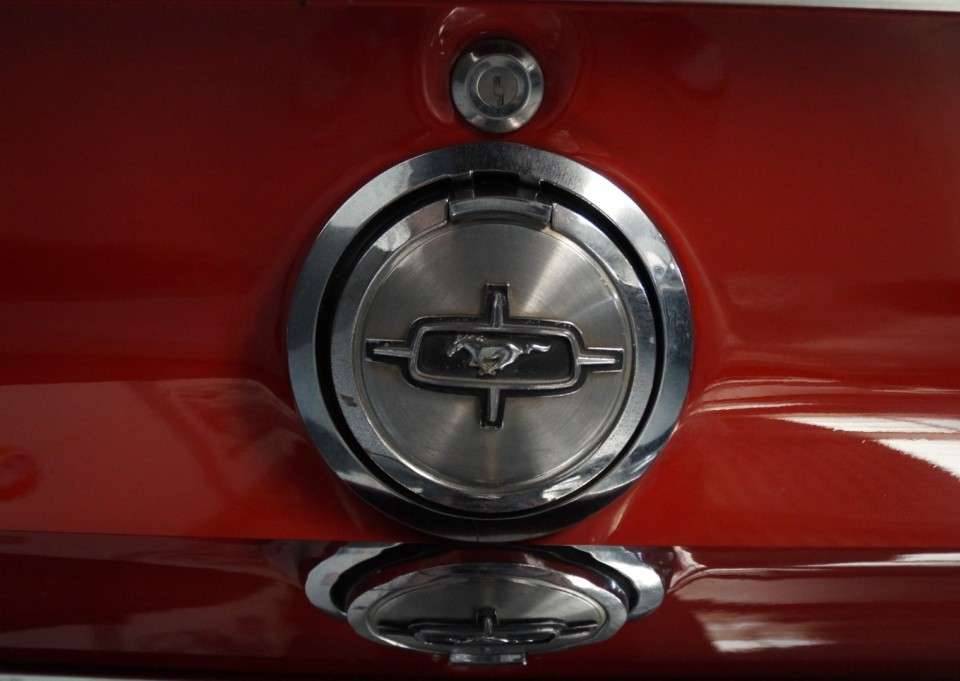 Bild 11/50 von Ford Mustang 302 (1968)