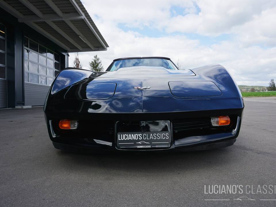 Bild 13/58 von Chevrolet Corvette Sting Ray (1979)