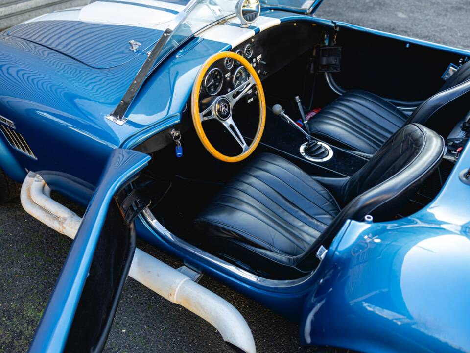 Image 3/68 of Shelby Cobra 289 (1966)